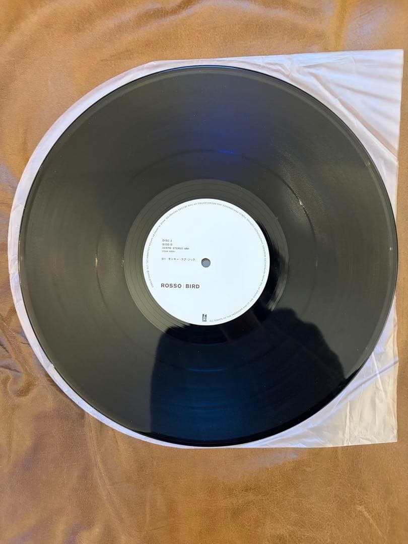 【希少LP】ROSSO / BIRD アナログ盤 2枚組 レコード（チバユウスケ