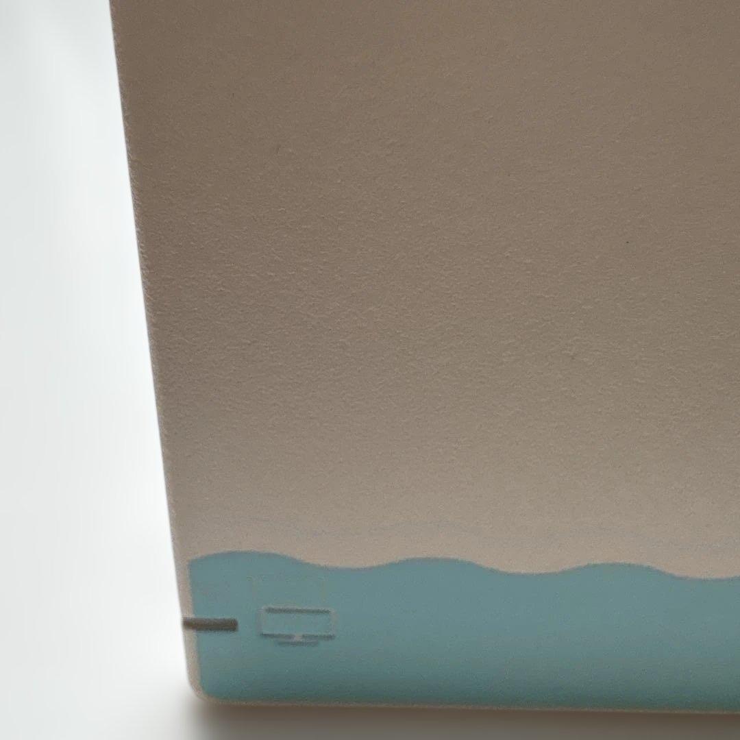 Nintendo Switch あつまれどうぶつの森デザイン