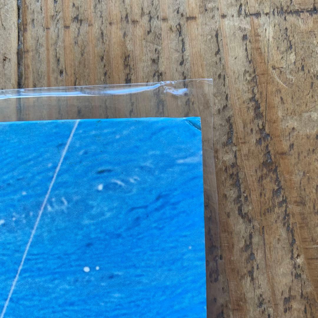 希少 nirvana nevermind 国内盤 重量200g レコード 帯