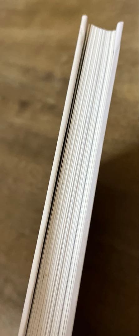 The World of Rubens 美術書 　　　ルーベンス／アートを愉しむ