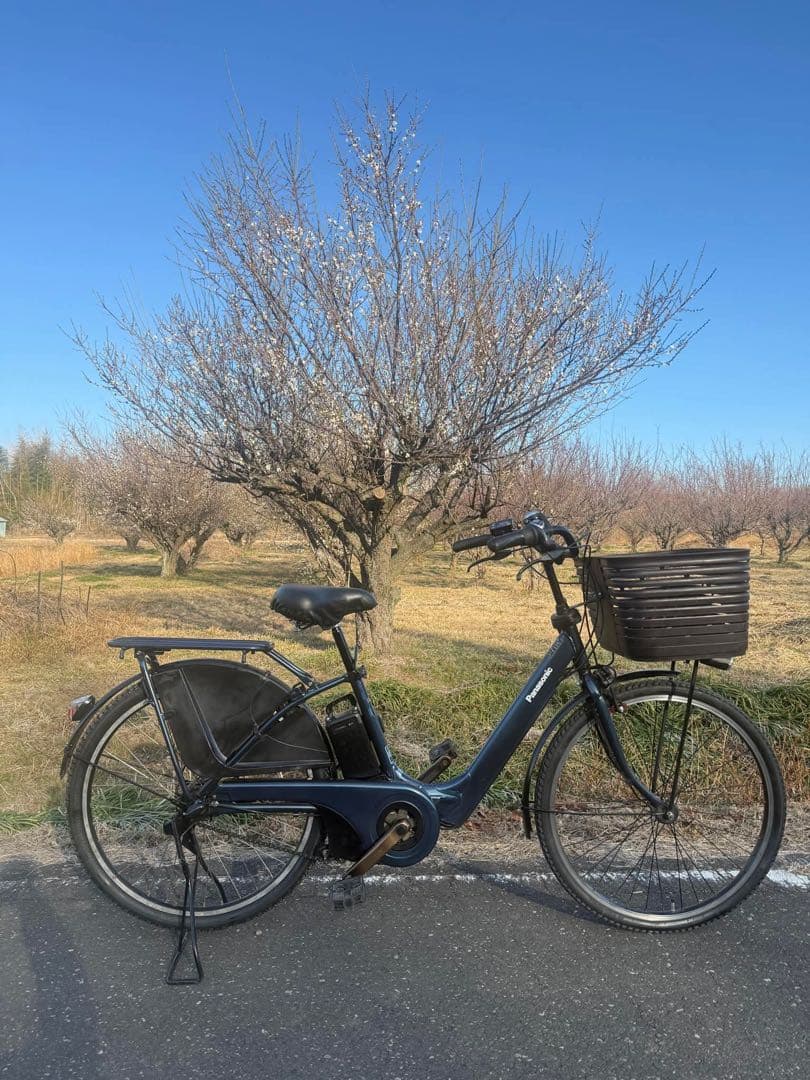 Panasonic 電動アシスト自転車 ブラック