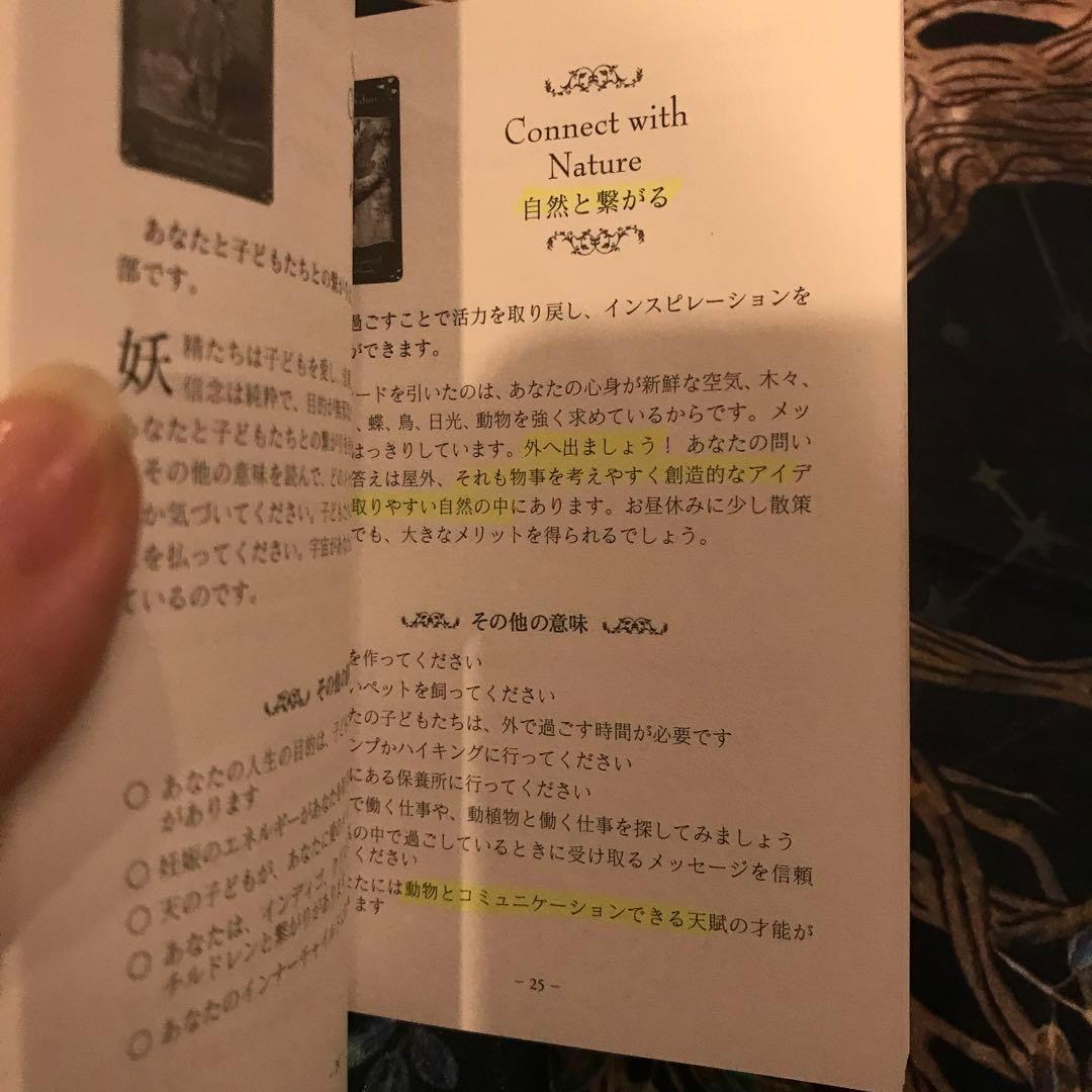 ☘️美品　絶版　希少　日本語版 金縁 マジカル フェアリー オラクルカード