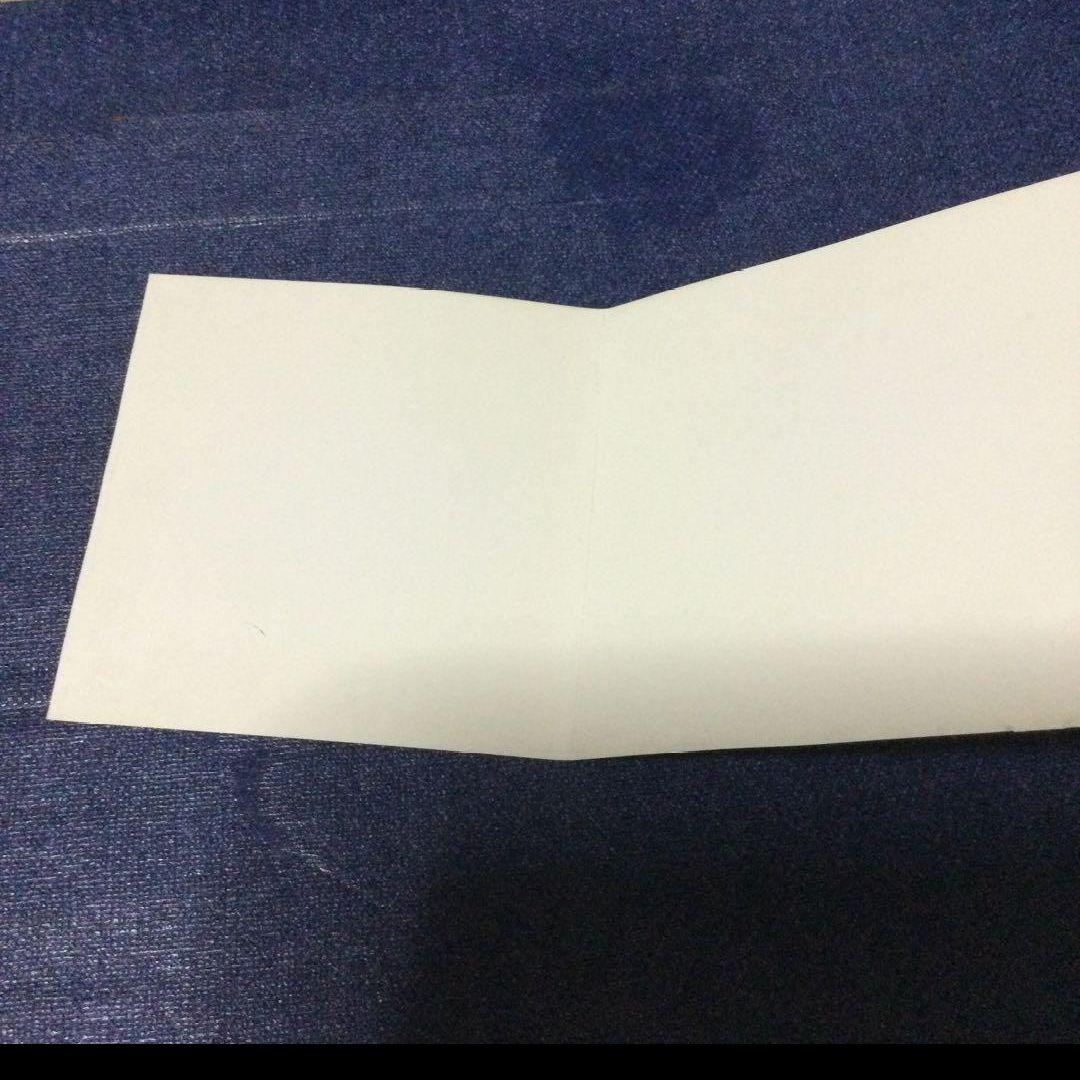 THE ROOSTERS ルースターズ unreleased CD 邦楽 帯付