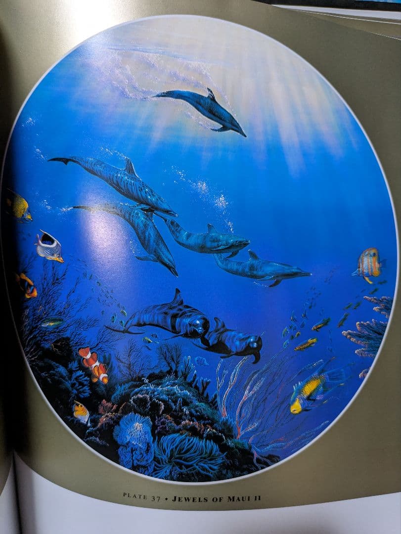 Lassen アートブック　非売品