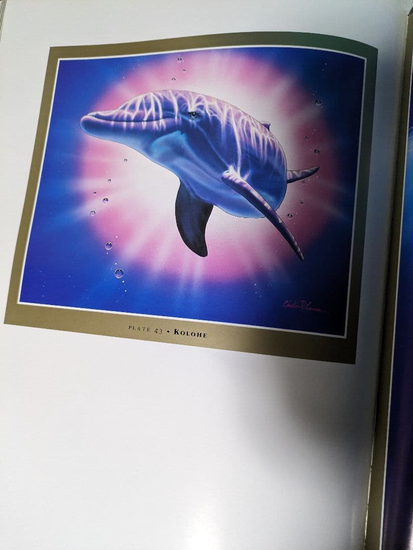 Lassen アートブック　非売品