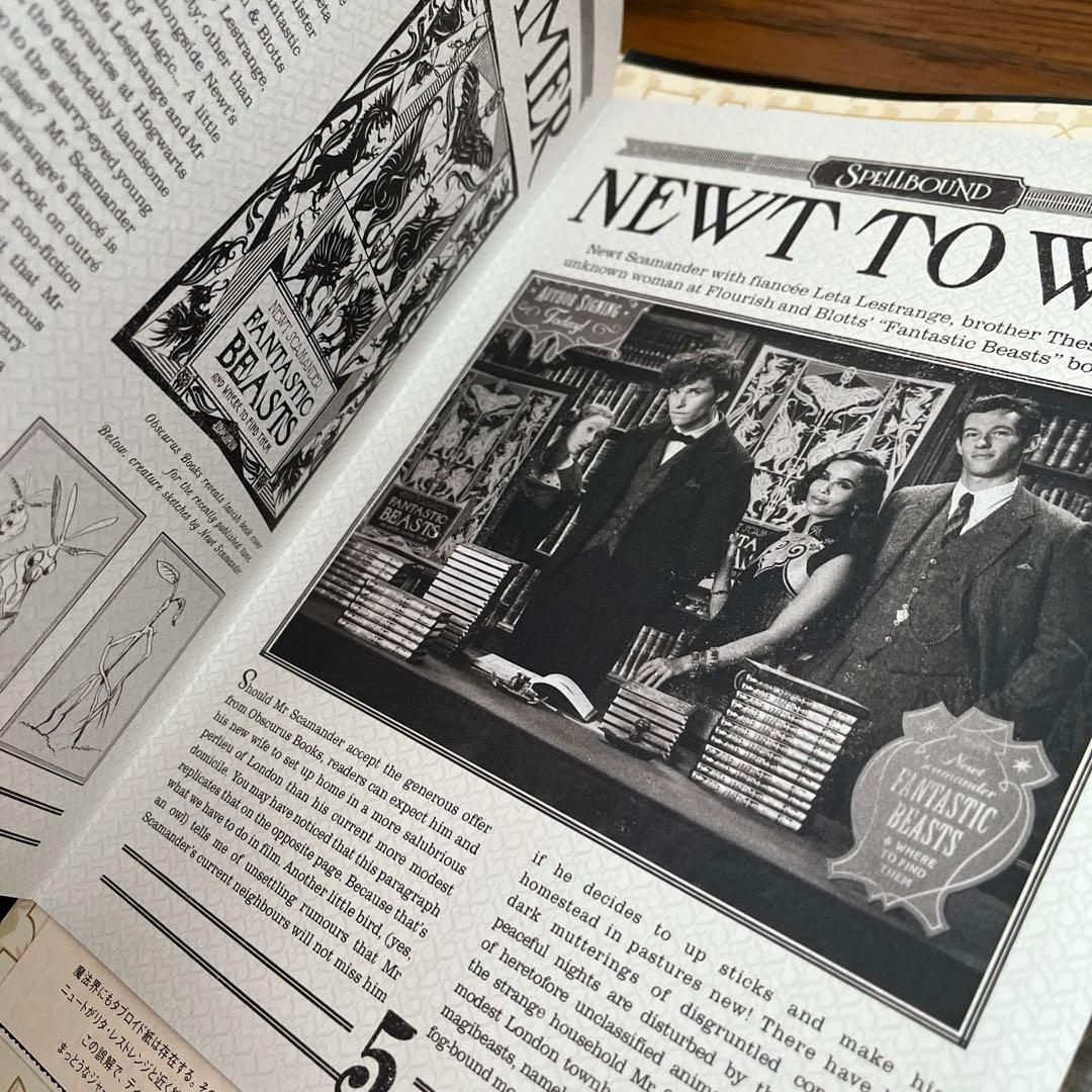 ファンタスティック・ビースト　本　ミニファイル