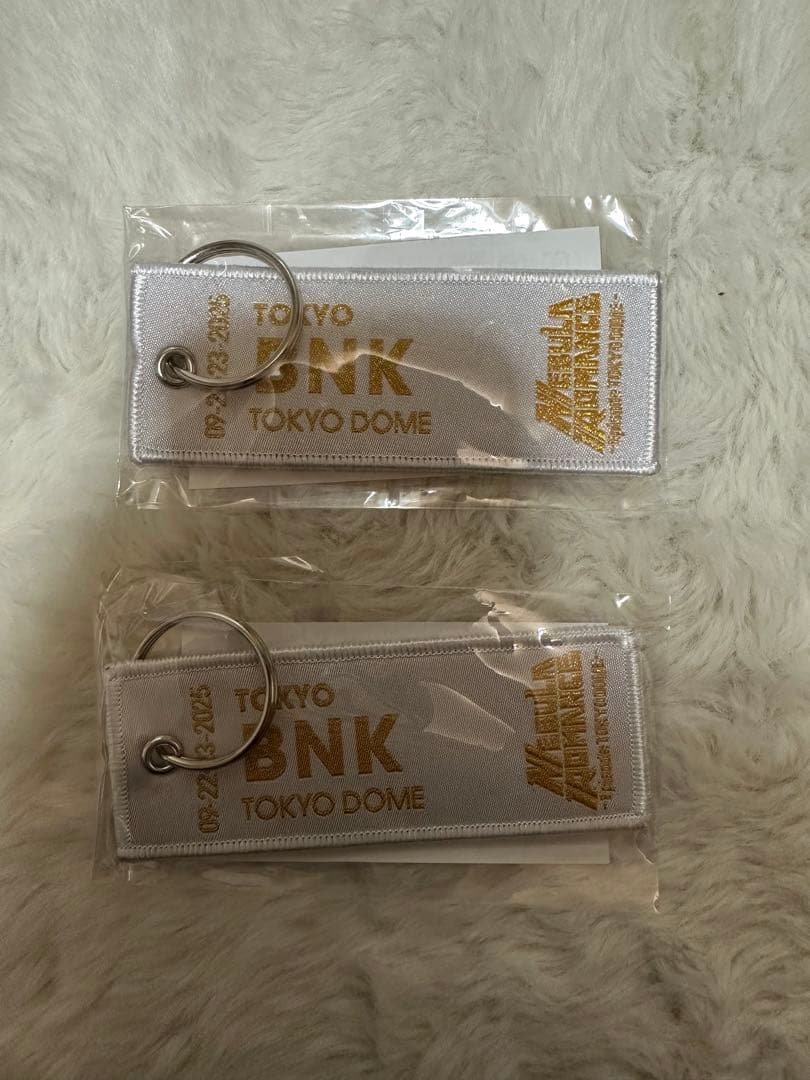 Perfume CD DVD グッズ一式