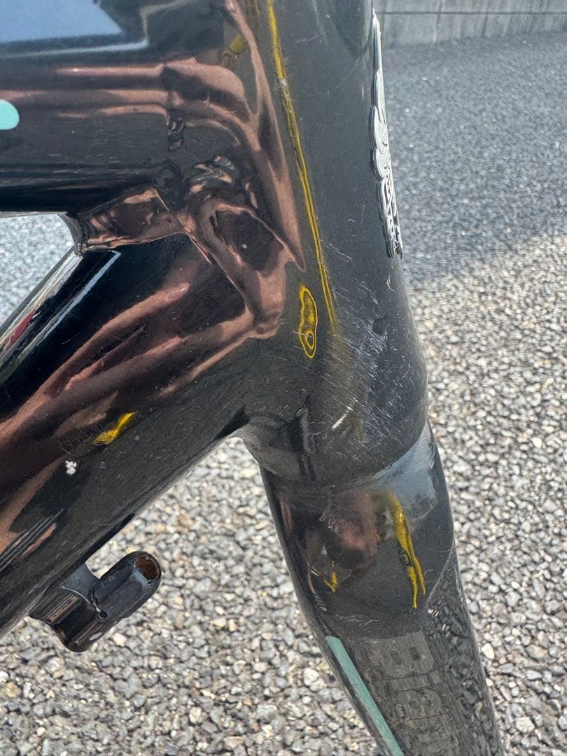 Cannondale CAAD8&Bianchi Via Nirone7 フレセ