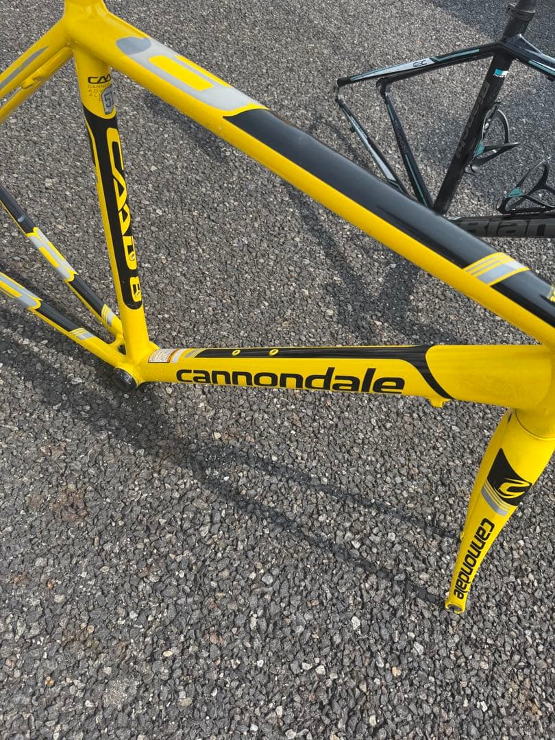 Cannondale CAAD8&Bianchi Via Nirone7 フレセ