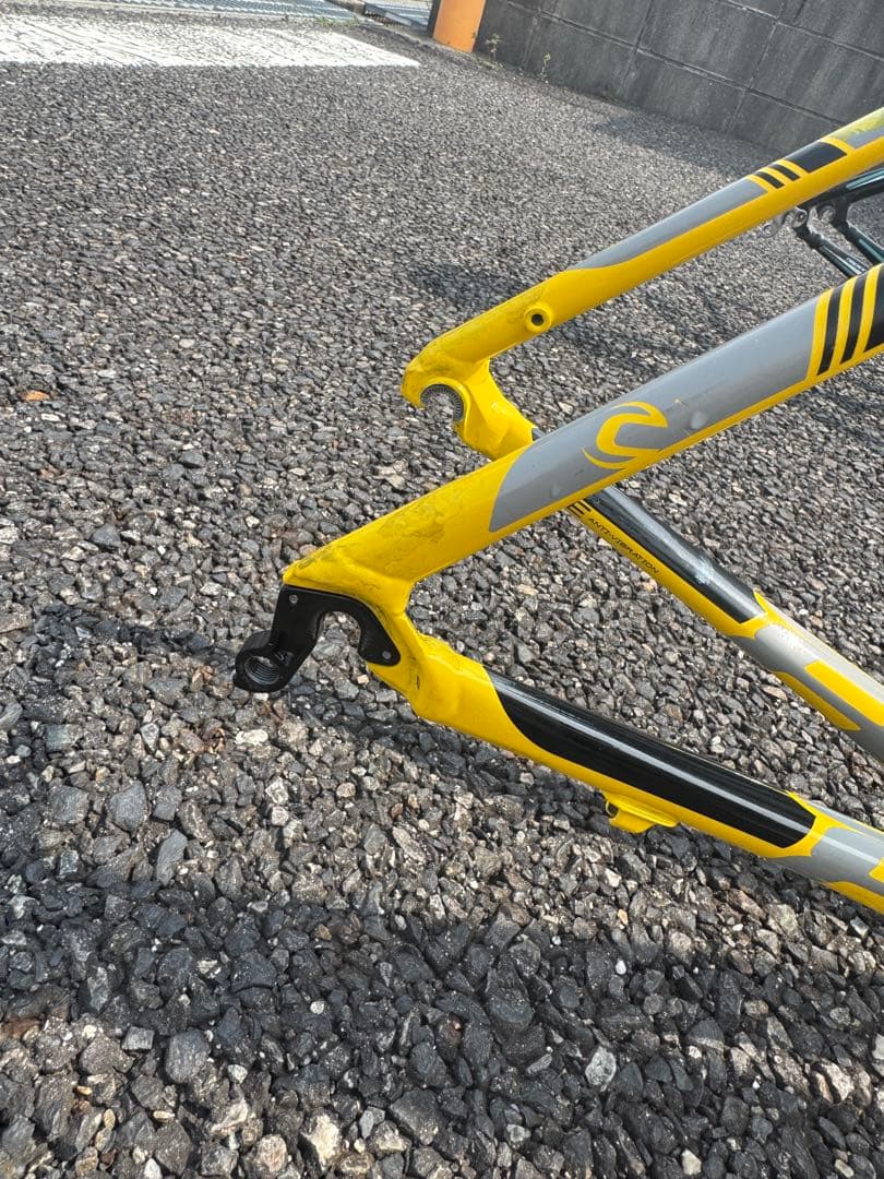 Cannondale CAAD8&Bianchi Via Nirone7 フレセ