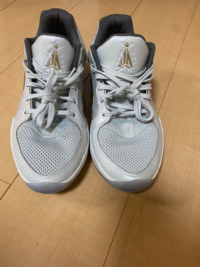 シューズ(男性用) JA 2 \"Tree Top\" EP