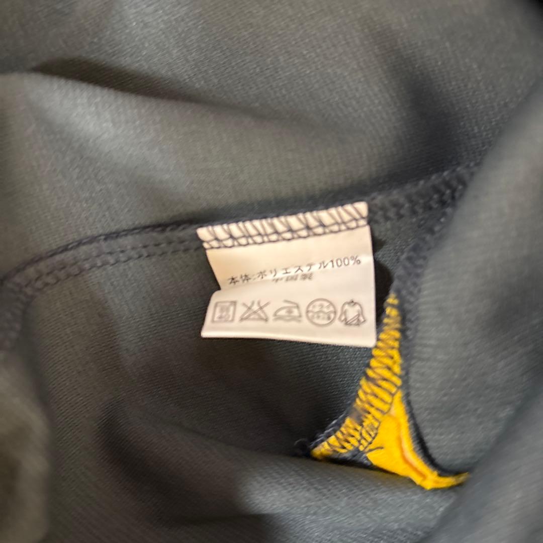 新品　阪神タイガースとスポーツニッポン（スポニチ）0304o376