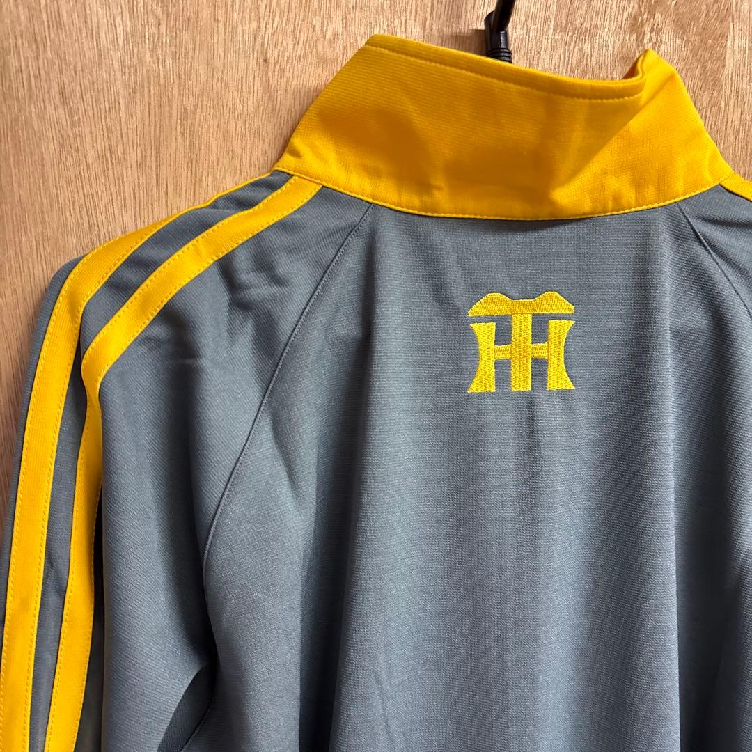 新品　阪神タイガースとスポーツニッポン（スポニチ）0304o376