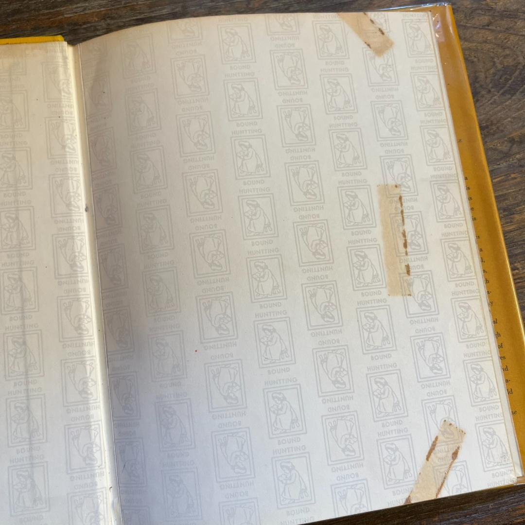 絵本・児童書 A Cat Can't Count