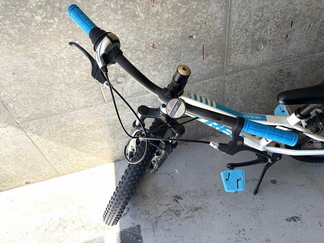 TREK 子供用自転車 Precaliber 20インチ トレック 引取限定