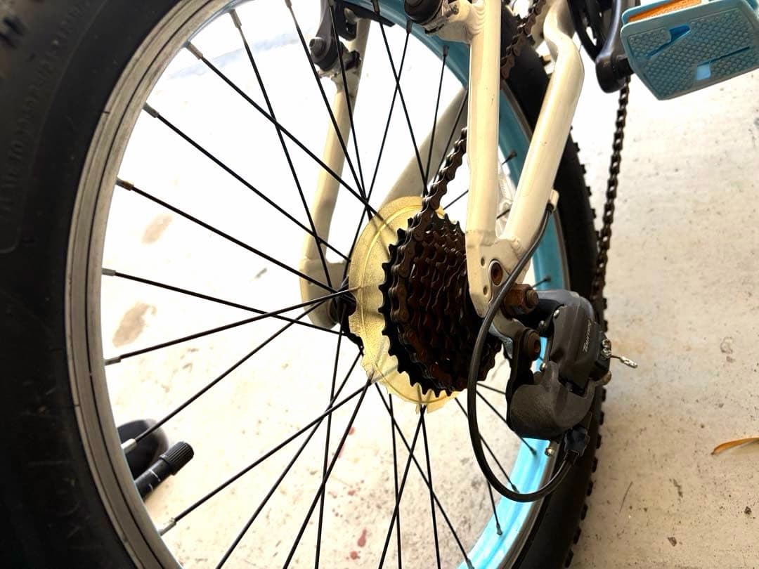 TREK 子供用自転車 Precaliber 20インチ トレック 引取限定