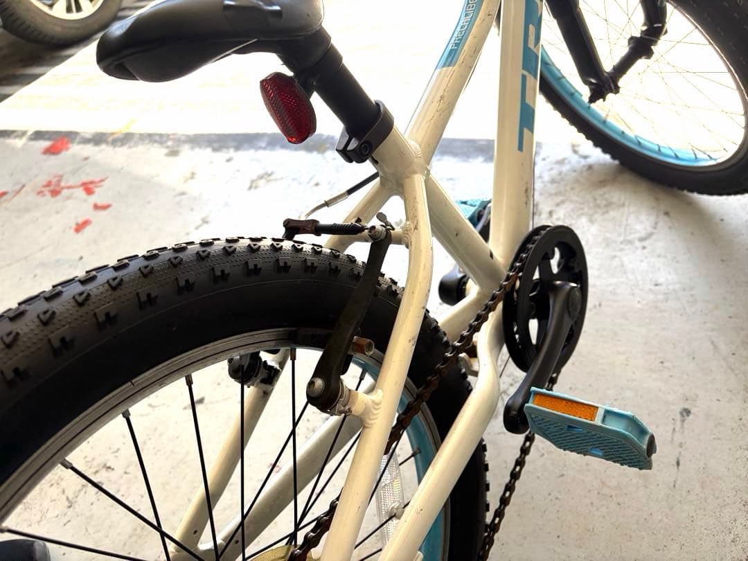 TREK 子供用自転車 Precaliber 20インチ トレック 引取限定