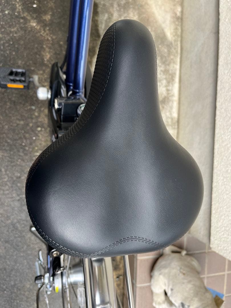 ティモ・DX：インディゴブルーメタリック(2024モデル)