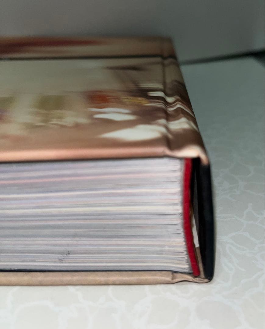 森山大道『Now, and Never Again』