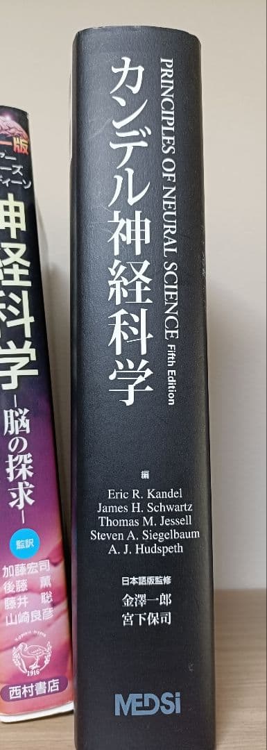 カンデル神経科学 第1版1刷