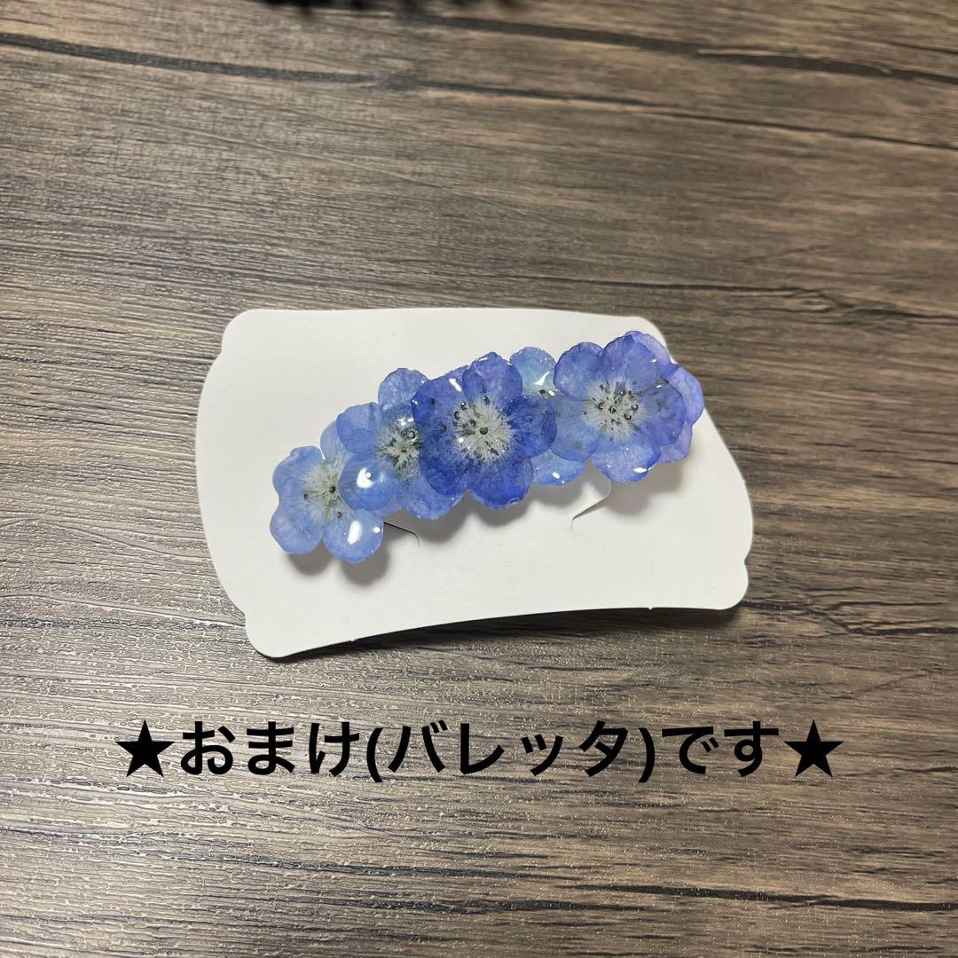 【最終価格】アレクサンドルドゥパリ 限定品 スワロフスキー バレッタなど