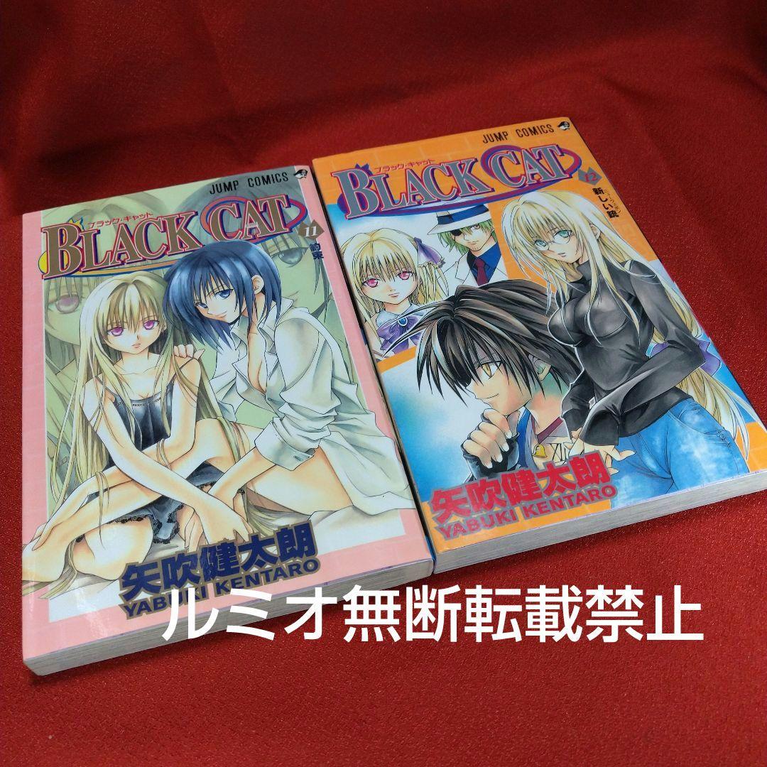 BLACK CAT(ブラック・キャット)【全巻セット】矢吹健太郎