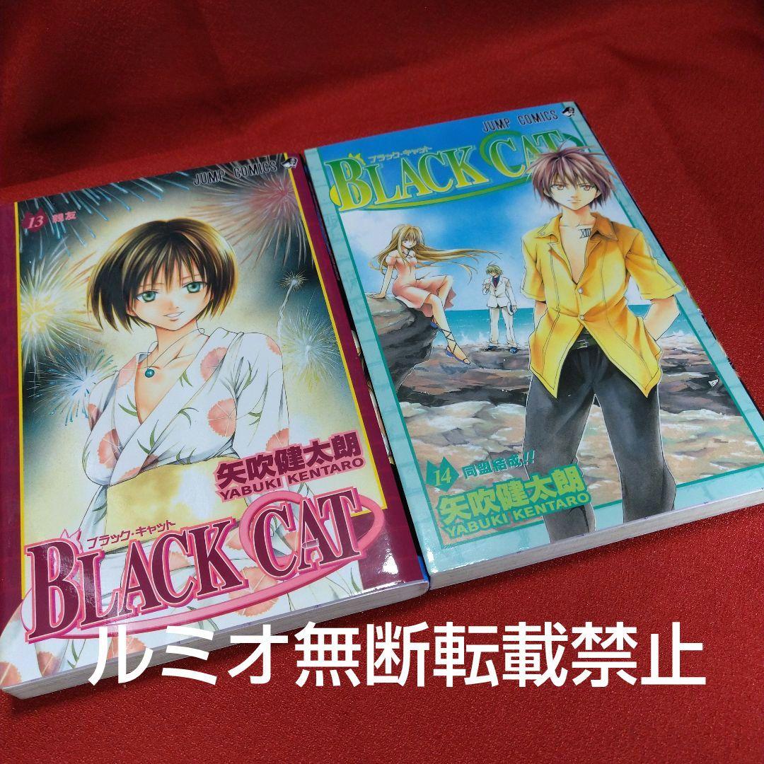 BLACK CAT(ブラック・キャット)【全巻セット】矢吹健太郎