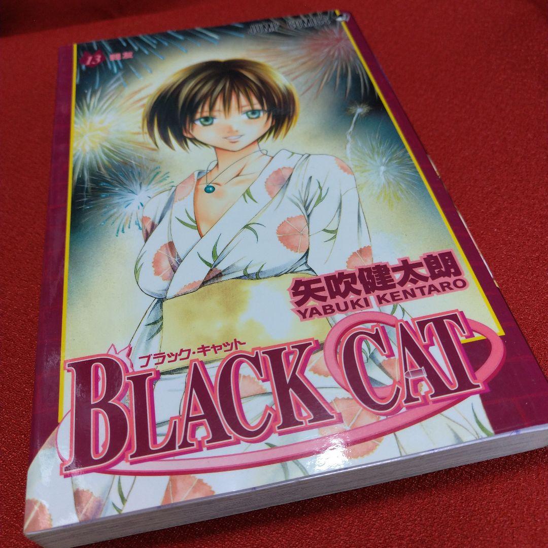 BLACK CAT(ブラック・キャット)【全巻セット】矢吹健太郎