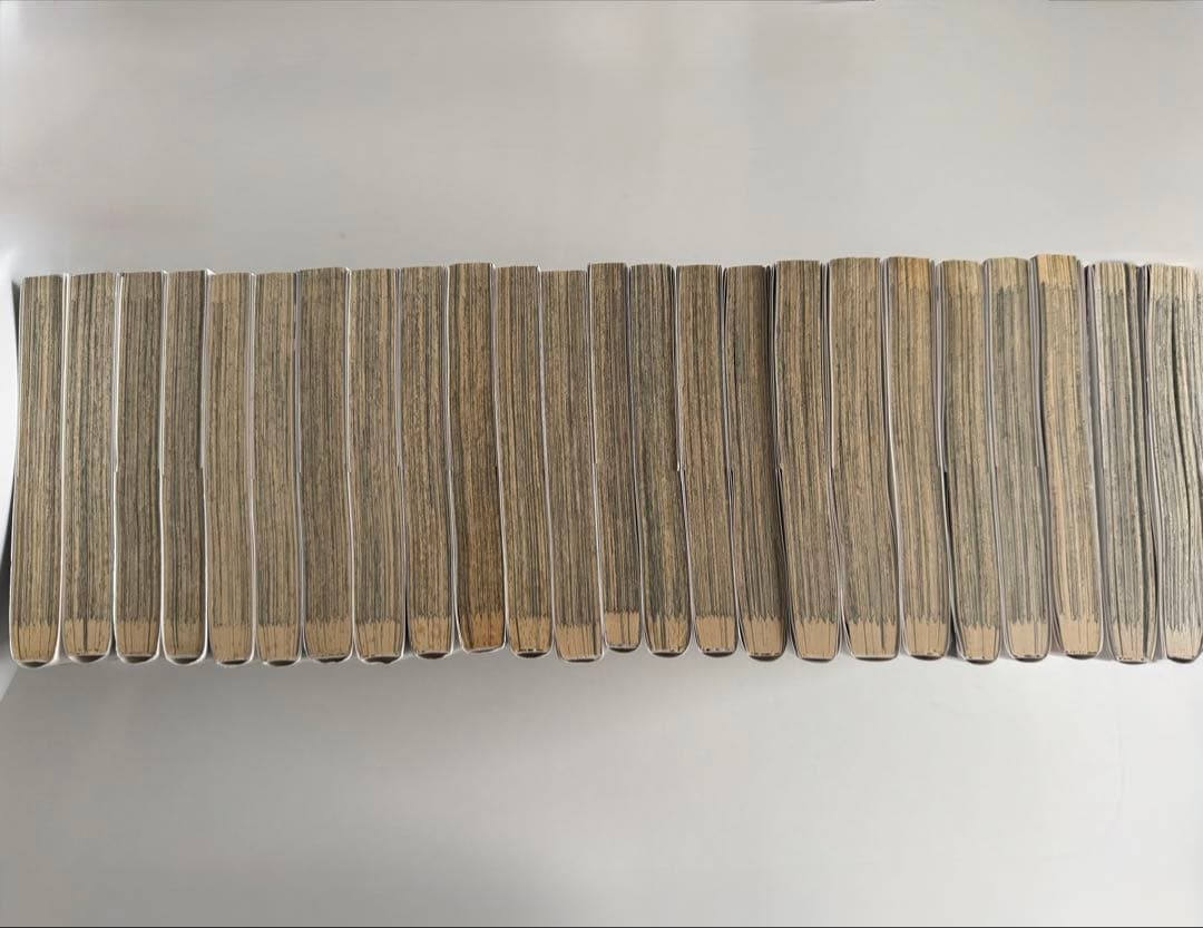 文豪ストレイドッグス 1〜24