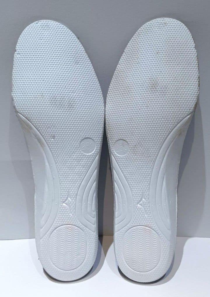 【最安値！】ミズノ レビュラ2 ジャパン 25cm サッカースパイク