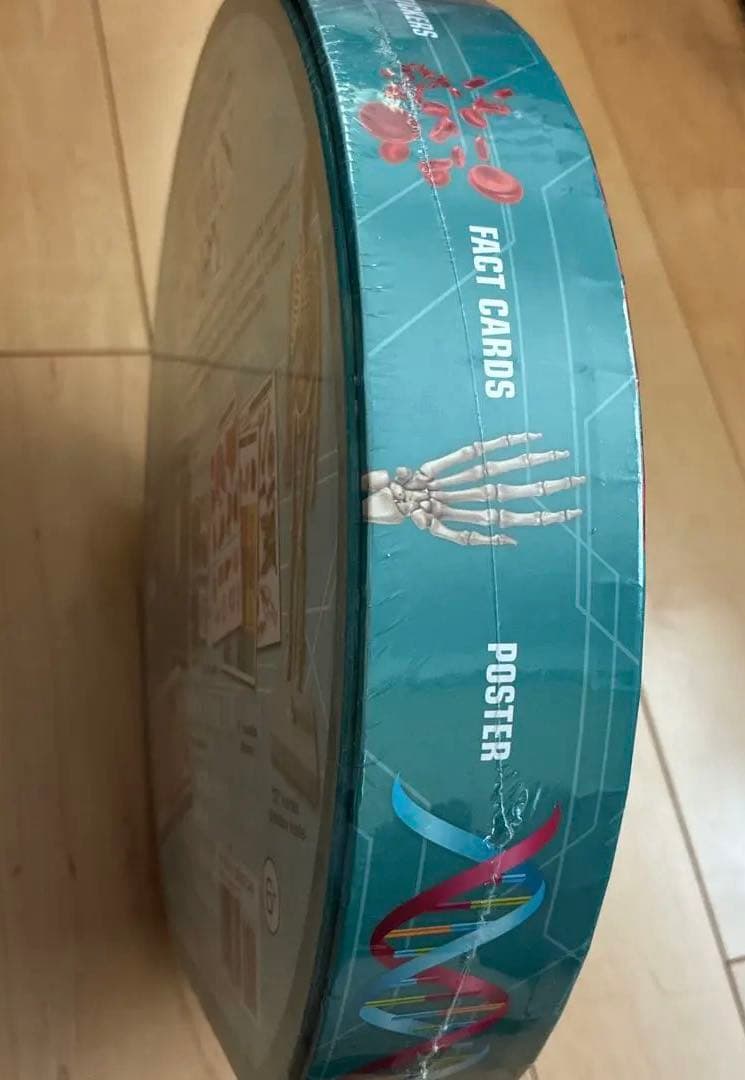 Human Body サイエンス 人体 キット 英語