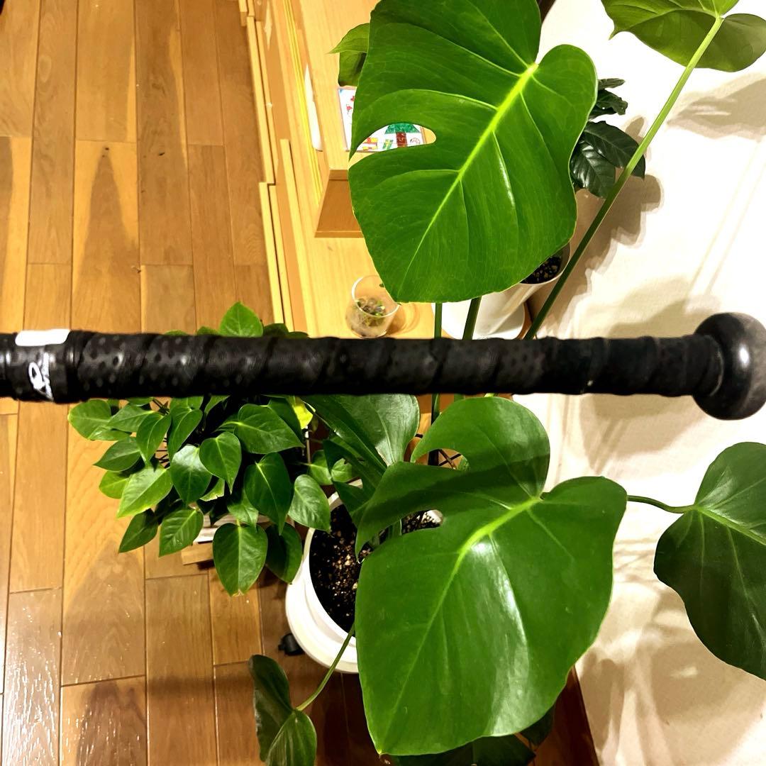 レガシーバット