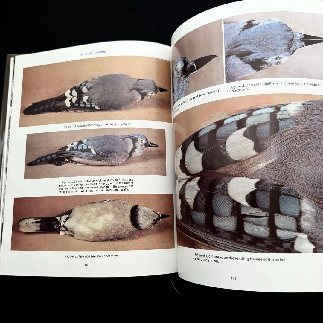 ソングバード バードカービング 技法書「Songbird Carving II」