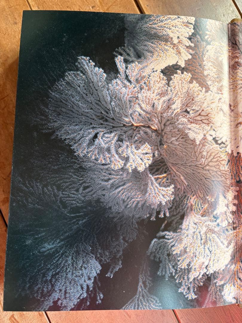 光と鬼 THE PHTON & OGRE 横須賀功光 写真集