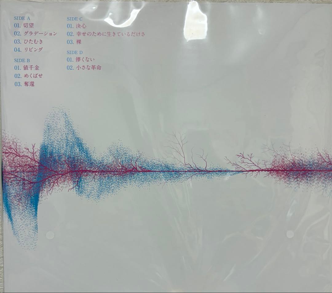 SUPER BEAVER LP盤 セット