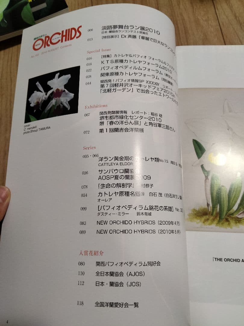 趣味の洋ラン　 ニューオーキッド　No160 ~169 10冊　早い者勝ち