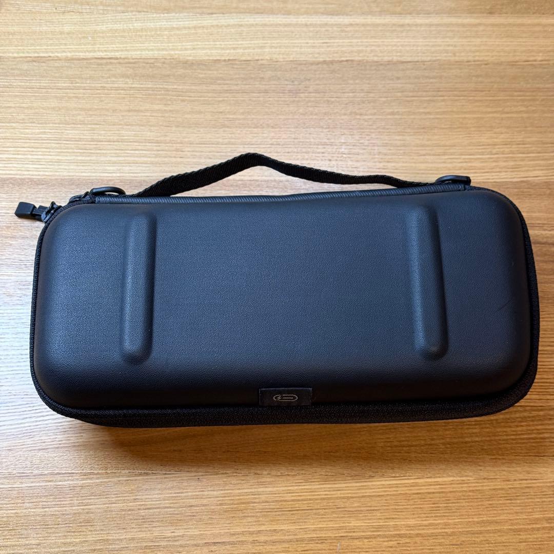 Nintendo Switchあつまれどうぶつの森セット+ケース