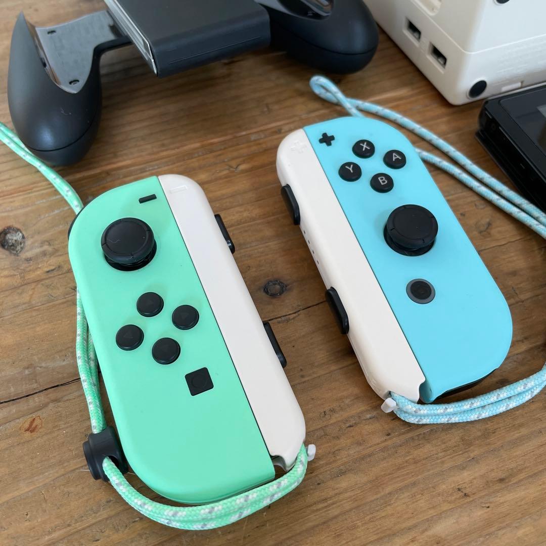Nintendo Switchあつまれどうぶつの森セット+ケース
