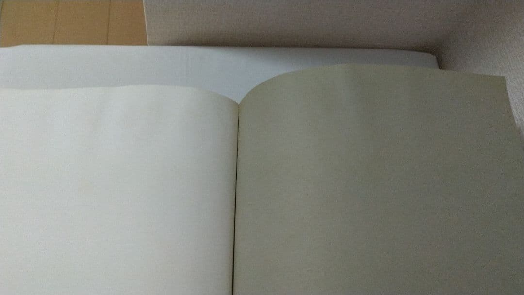 ジャン・ブルッセルマン Jean BRUSSELMANS 画集 全作品目録 洋書