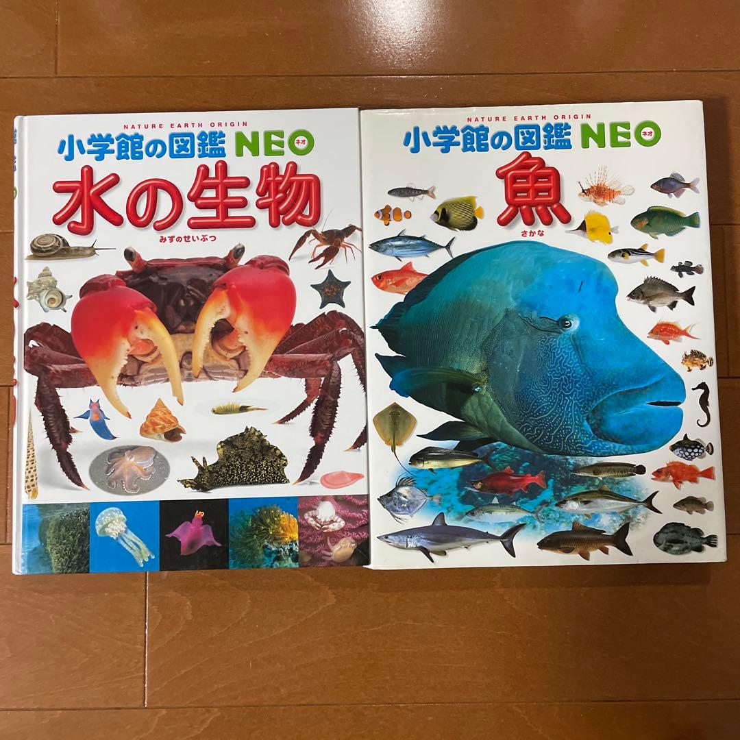 小学館の図鑑NEO 動物、他　12冊セット