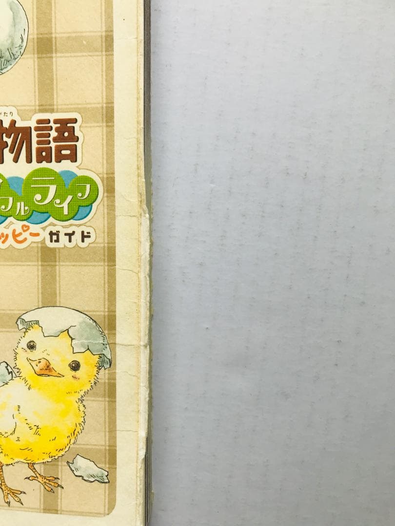 牧場物語 Oh! ワンダフルライフ 初回版 スーパーガイドブック 攻略本 PS2