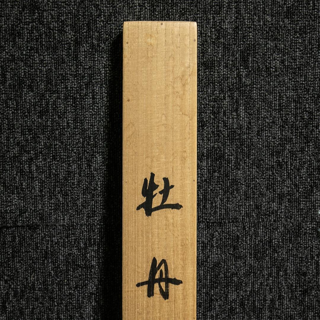 掛軸-1638　斎藤栄昌　牡丹　共箱