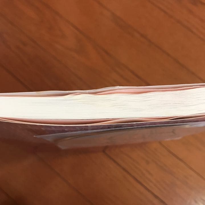 綜合ユニコム[レジャーサービス産業]ビジネスモデルプラン集第1巻レジャー事業