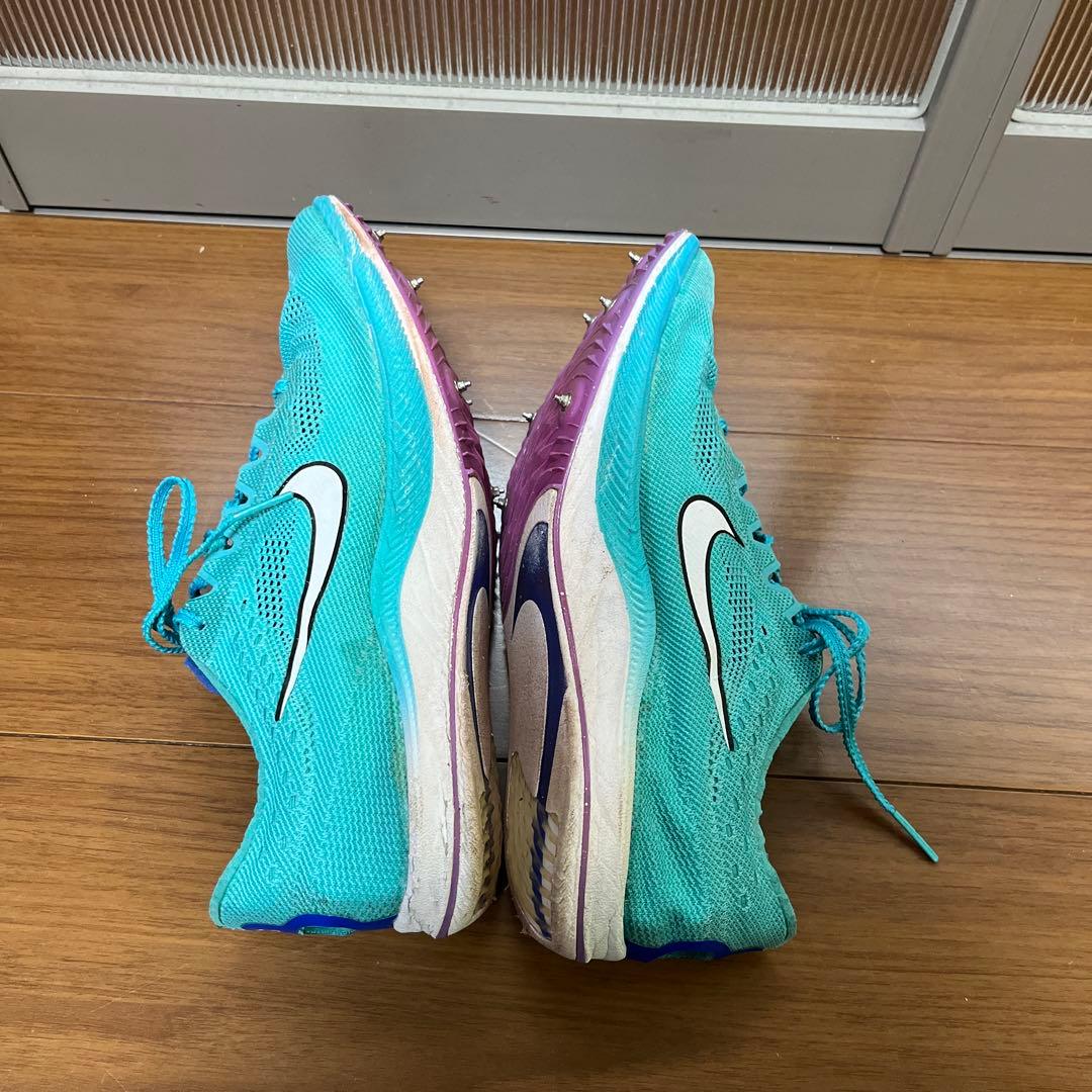 ドラゴンフライ 26.5 限定カラー