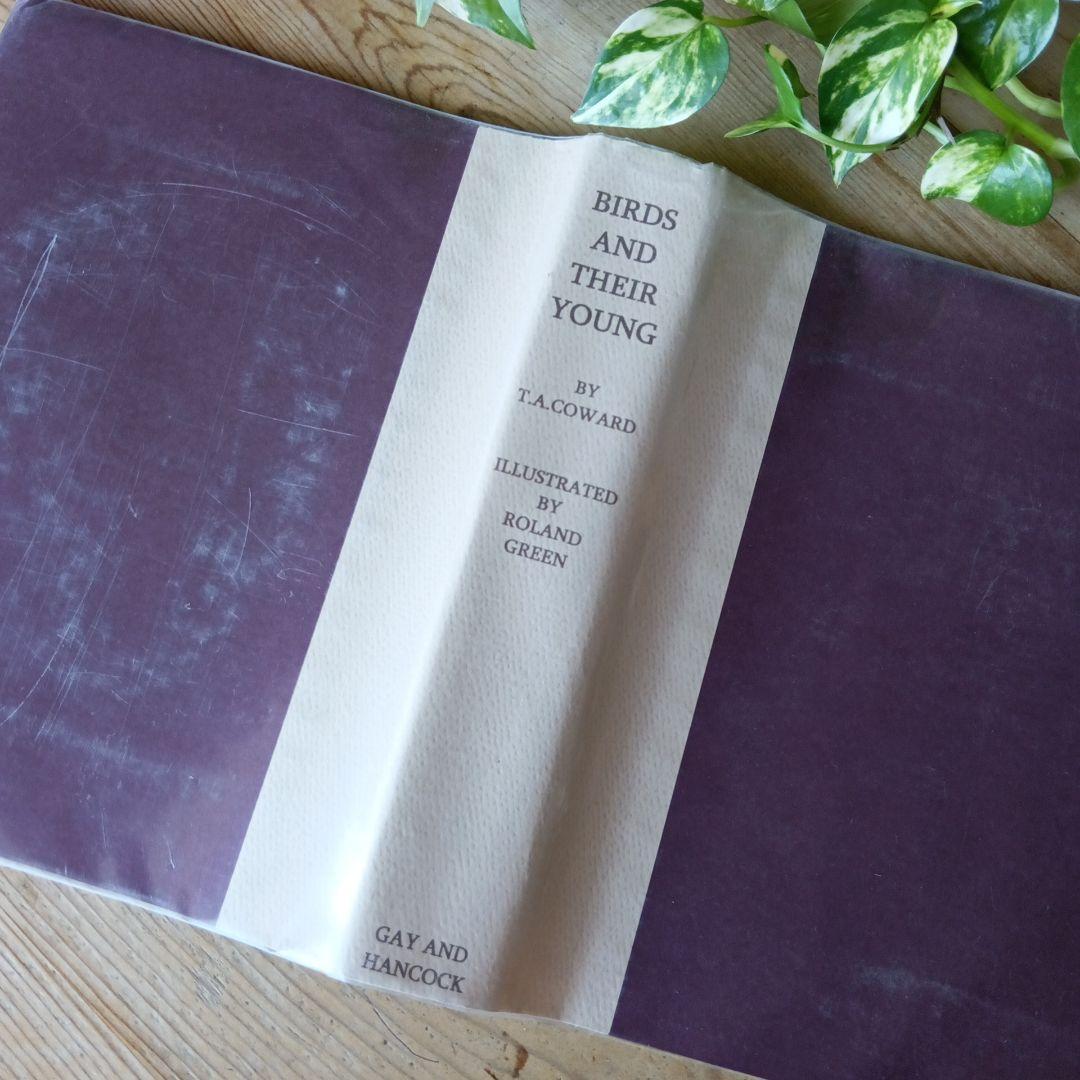 洋書古書　1923年　初版　希少　鳥図鑑　アンティーク　植物図鑑　画集　アート