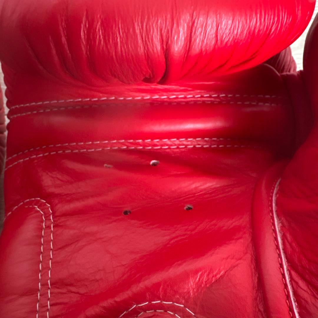 TWINS SPECIAL レザー ボクシンググローブ 12oz レッド