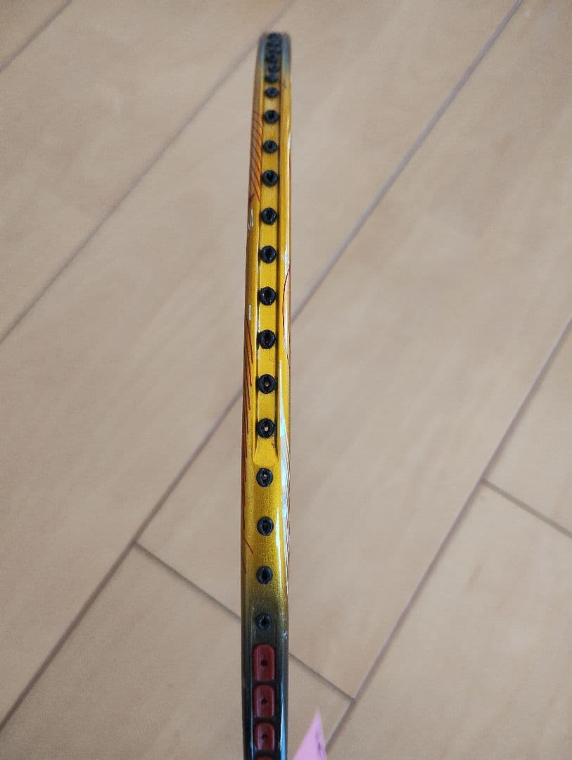 トライビスタ　デルタ　4,5の写真