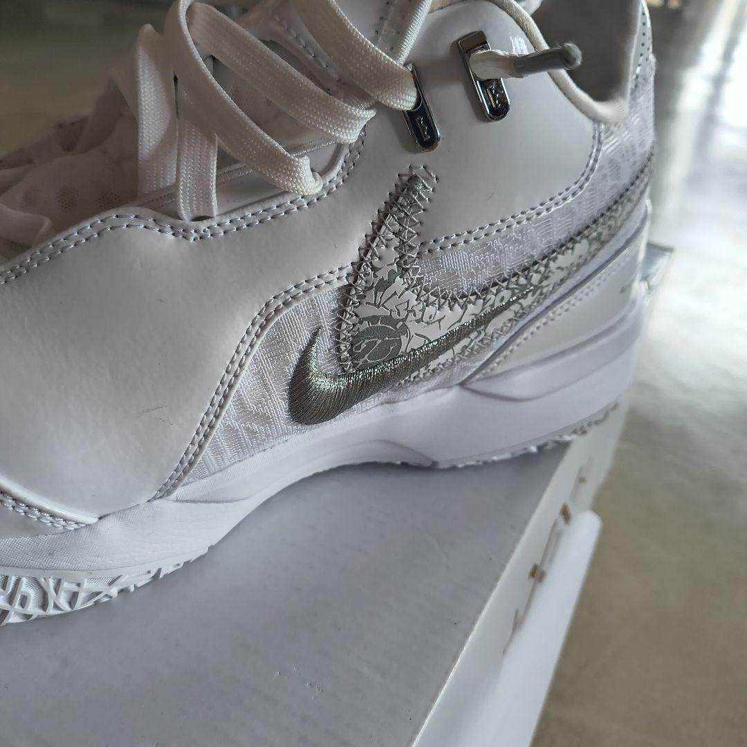 ZM LEBRON NXXT GEN AMPD. バスケットボールシューズ