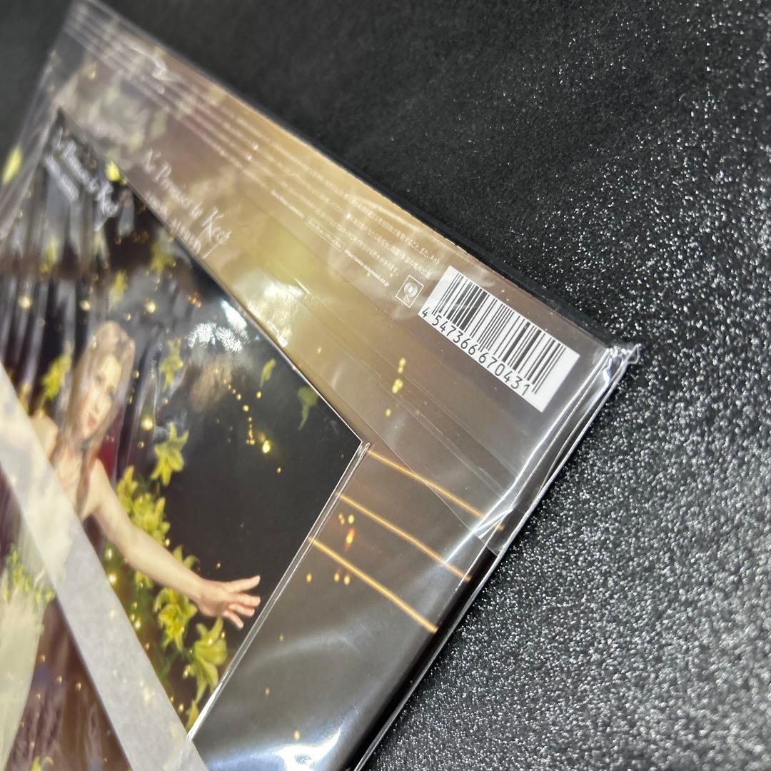 ローレン・オルレッド／No Promises to Keep 12インチアナログ