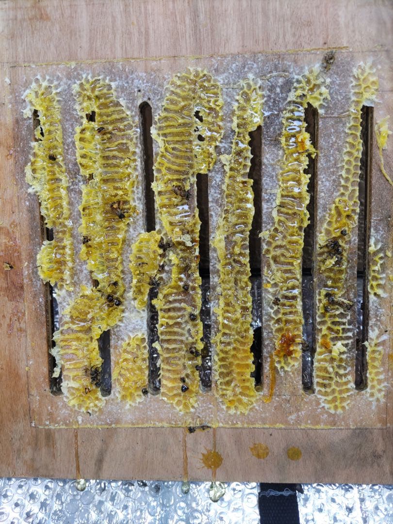 日本蜜蜂 重箱式巣箱４段　スライド底板 スノコ付き　説明書有　パイプ架台手順添付